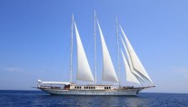 PALMALIFE yacht